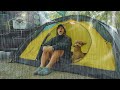 Solo Camping In Heavy Rain With My Dog Monster Downpour Cozy Relaxing In The Tent ASMR 