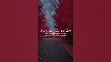 وإذا رأيت ثم رأيت نعيما وملكا كبيرا | سورة الإنسان | حالات واتس | القارئ محمد ديبيروف 🍃🤍