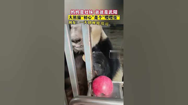 “嘤嘤怪”来咯 ，一听你也会爱上它