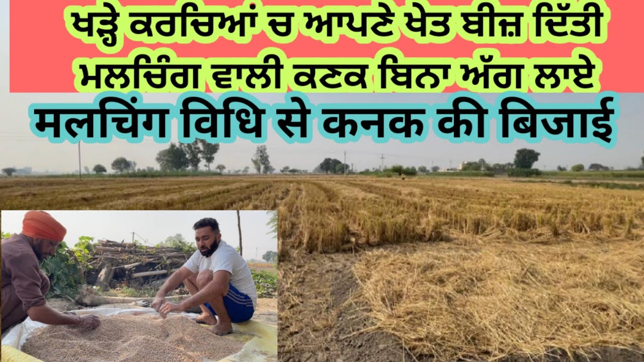ਮਲਚਿੰਗ ਵਿਧੀ ਨਾਲ ਕਣਕ ਦੀ ਬਿਜਾਈ ਕਰਤੀ ਆਪਾਂ ਵੀ। मलचिंग विधि से कनक की बिजाई कर दी अपने खेत में वी। Sukhi
