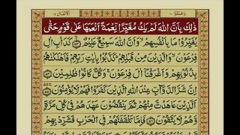 Quran Para 10 With Urdu Translation | Recitation : Mishary Rashid Alafasy.