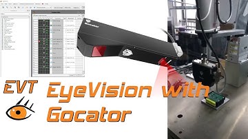 EyeVision with Gocator shape by shade sensor