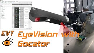 EyeVision with Gocator shape by shade sensor