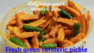 લીલી/આંબા હળદર આથવાની રીત. Lily Haldar Aathvani Rit|  BLOOD PURIFIER HALDI CHIPS |