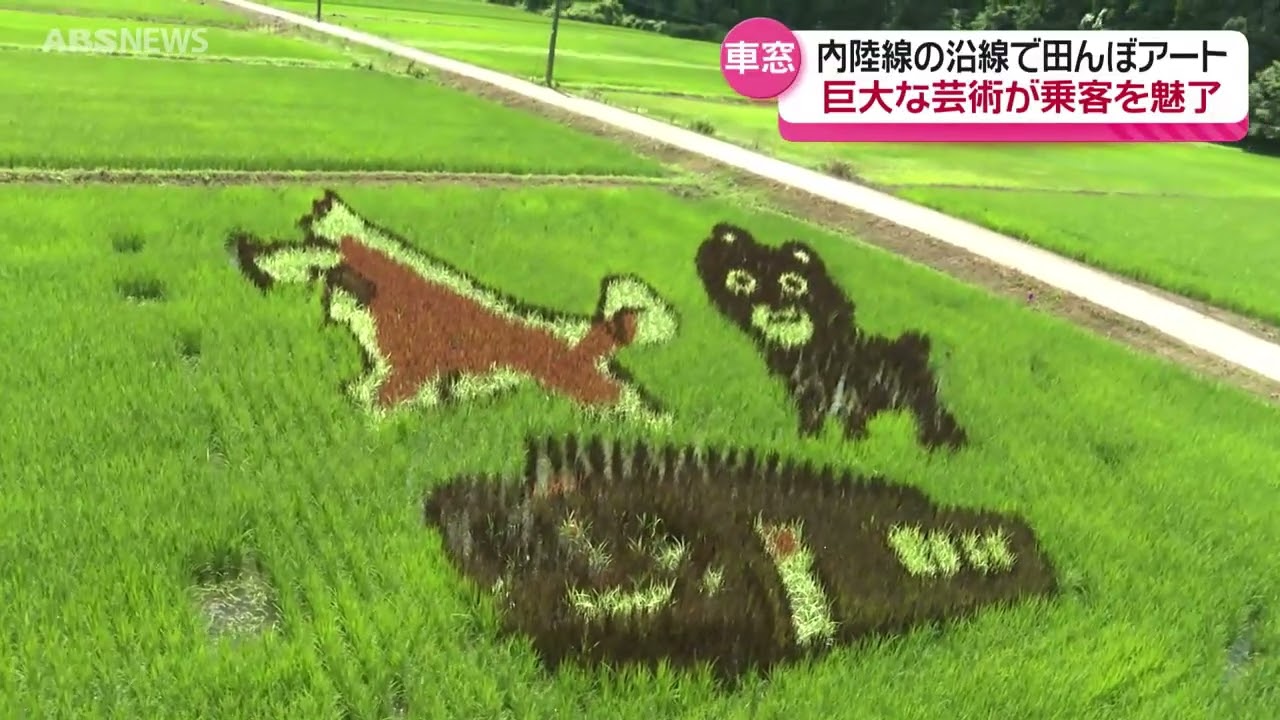 南画 柴田桃圃 Crayon Shin-chan the Akita dog! Rice field art is in full bloom