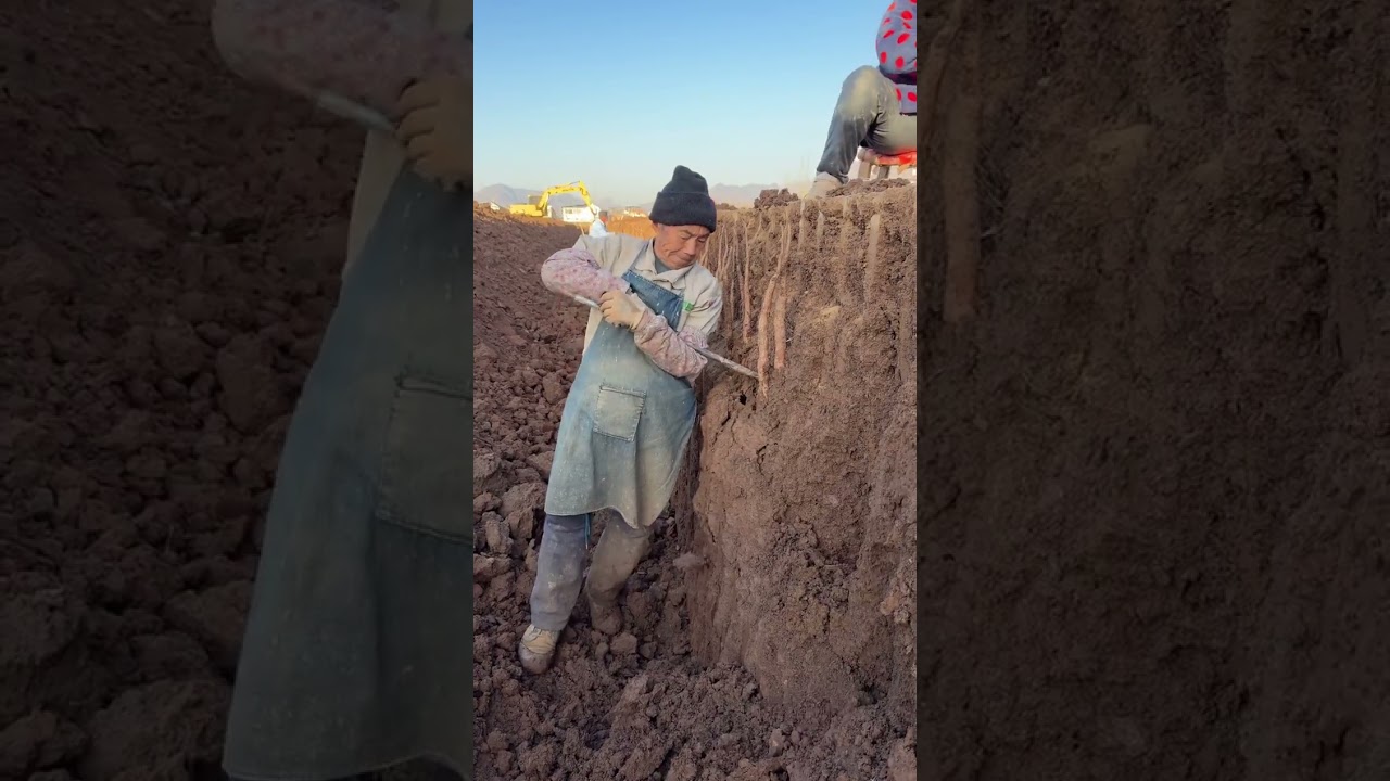 In a moment of sadness, she couldn't say anything