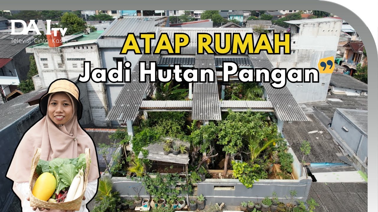 Sulap Atap Rumah Jadi Hutan Pangan - kebun Nian