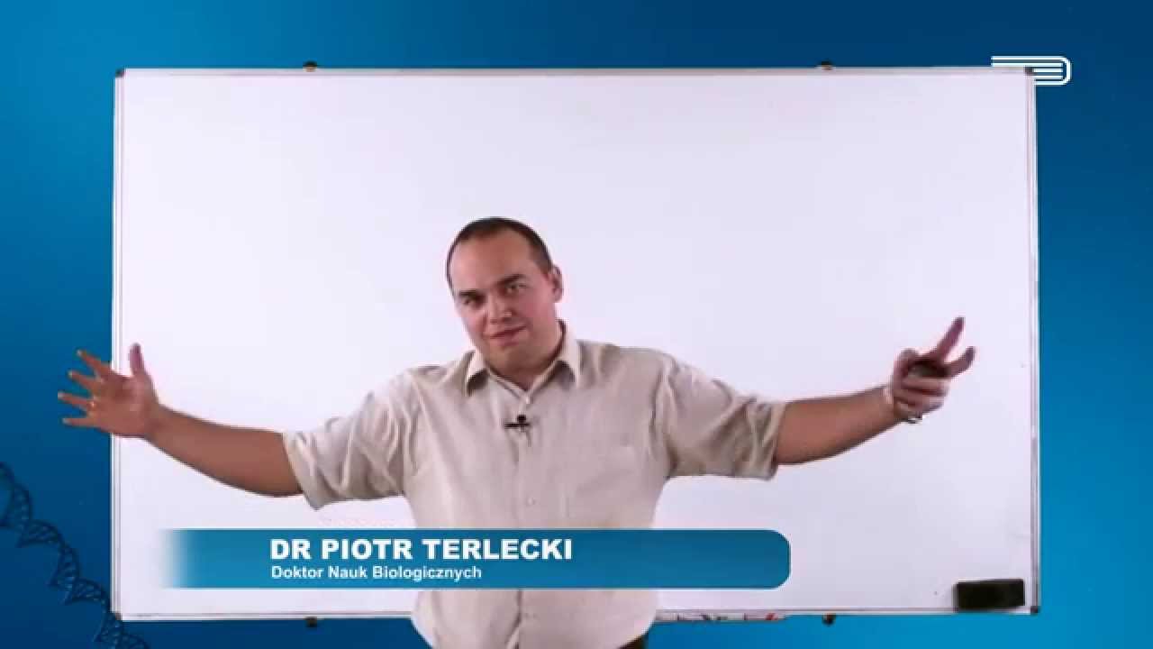 Metabolizm Gr B Sprawdzian Biologia Na Czasie 2