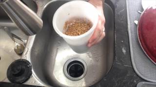 How To Sprout Wheat Berries How To Sprout Wheat Berries