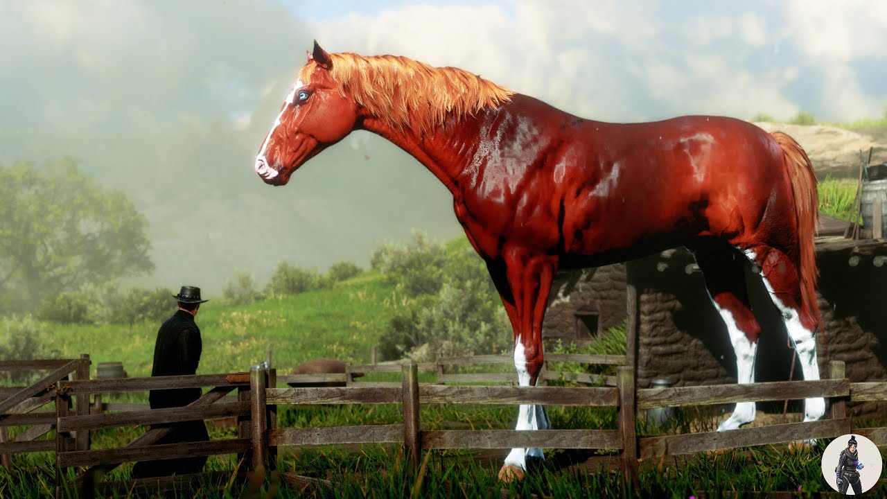 Arthur Morgan Tames the Ginormous Chestnut Turkoman Horse at Learned Sood 🐎🔥 | RDR2 Legendary Tamer