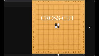 Capture Techniques - 100.1 The Cross-Cut