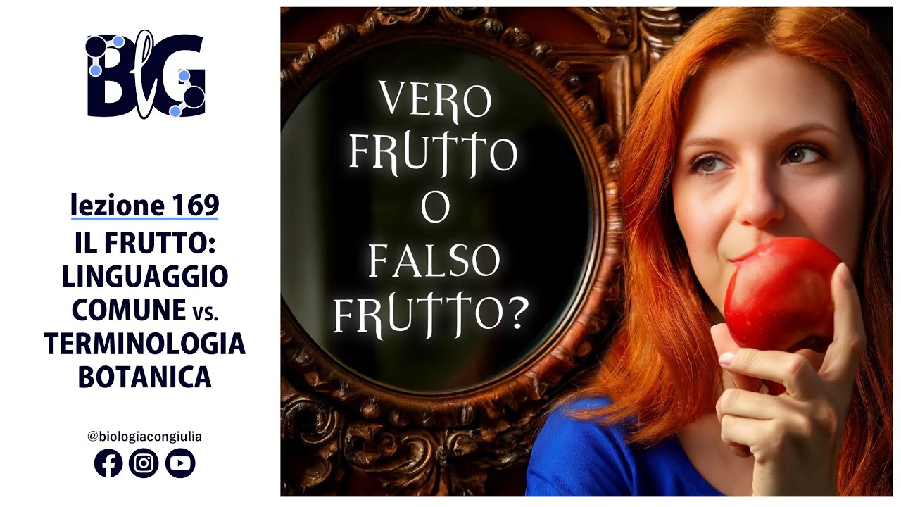 Il FRUTTO: linguaggio comune vs TERMINOLOGIA BOTANICA