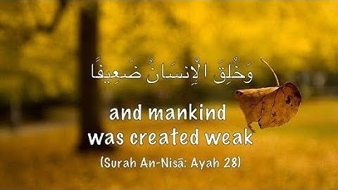 وخلق الإنسان ضعيفا | سورة النساء | زكريا صلاح | تلاوة هادئة | صفحة ٨٣