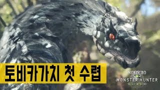녹두로의 몬스터헌터 월드 [토비카가치 첫수렵]