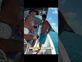 Lobster Size and Limit Violations  #fishing #lawenforcement #floridakeys