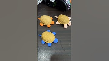 Walnut Shell Turtle Clay DIY