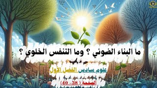 ما البناء الضوئي ؟ وما التنفس الخلوي ؟ علوم سادس ابتدائي الفصل الأول .