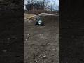 Rc Car Traxxas Rustler VXL with Light Kit in Action