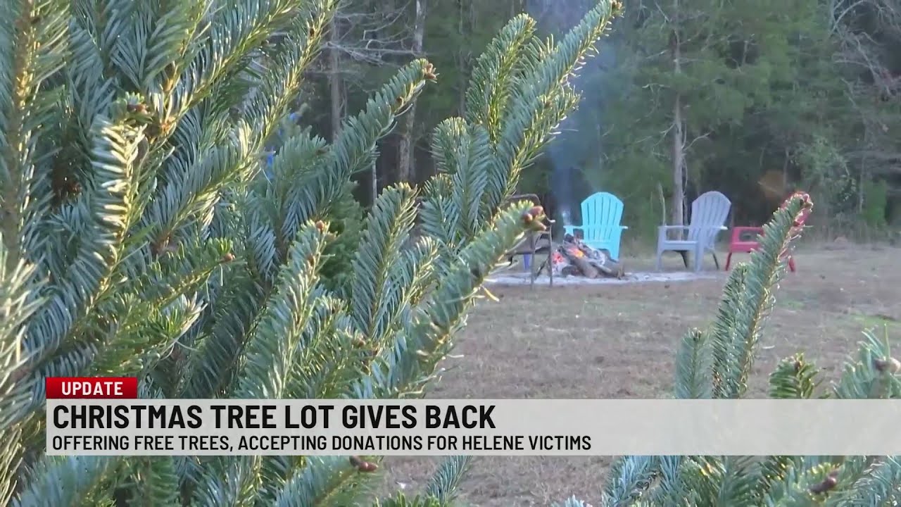 Free Christmas trees offered to people affected by Hurricane Helene ...