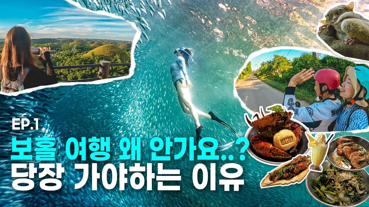 4박5일 보홀 자유여행 ep1. 보홀 가기 전에 꼭 보고 가세요! 인생 액티비티 추천! [한인업체, 현지업체 투어 추천, 나팔링, 육상투어, 맛집, 숙소, 기념품 추천]