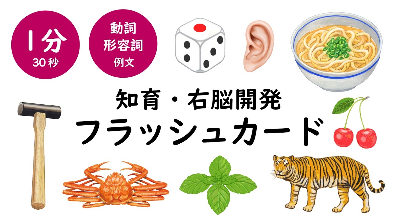 幼児教育MIXフラッシュカード（動詞・形容詞例あり）