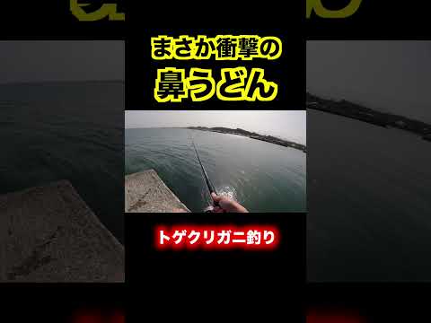 釣れた魚が芸人技やってた！ #45fishing #shorts #釣り #tiktok #切り抜き