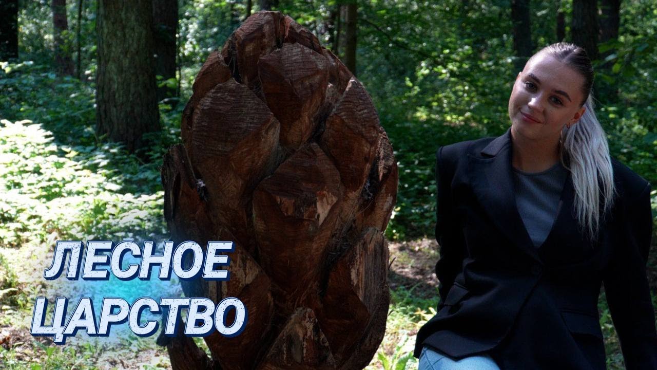 Птичье молоко и деревянная экспозиция || Продолжение экотропы "Шишки" || Современно и познавательно