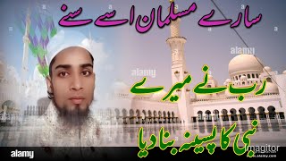 پتھر کو یوں تراشا نگینہ بنا دیا قطع aur Sehra ko Muskura Ke Madina banaa Diya رب نے میرے نبی کا پسین