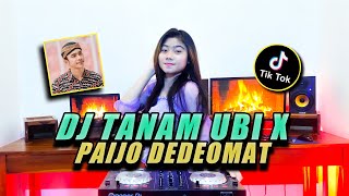 DJ TANAM TANAM UBI X PAIJO DEDEOMAT TIKTOK REMIX TERBARU FULL BASS 2021