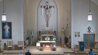 Saturday Evening Mass - July 11, 2026