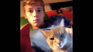 Smesne Zivotinje Smeh Do Suza