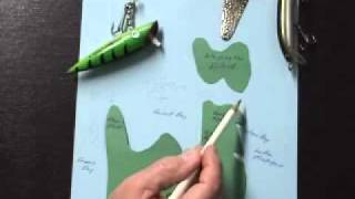 Part II Door County Wisconsin King Salmon Fishing, How-When-Where