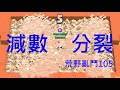 【自製地圖5】減數分裂的地圖，電腦不會打骷髏頭? 荒野亂鬥105 龍瑋兄弟