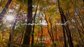 [Cinematic Seoul] 우이령길