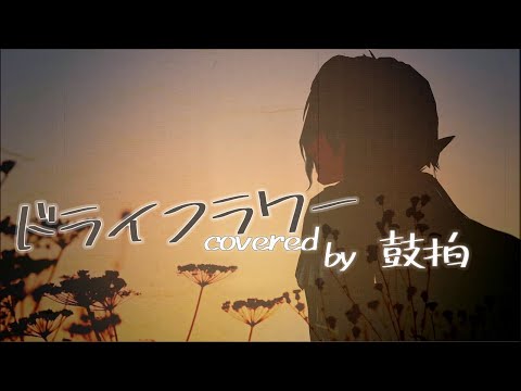 オリジナルMV【鼓拍🥁11】優里「ドライフラワー」【うたってみた】