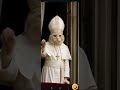 il mio gatto miele versione papa🥰