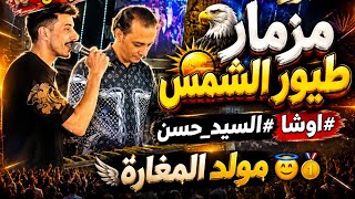 الجديد وصل        مزمار طيور الشمش        اوشا  السيد حسن    مولد المغارة   - اسمعها