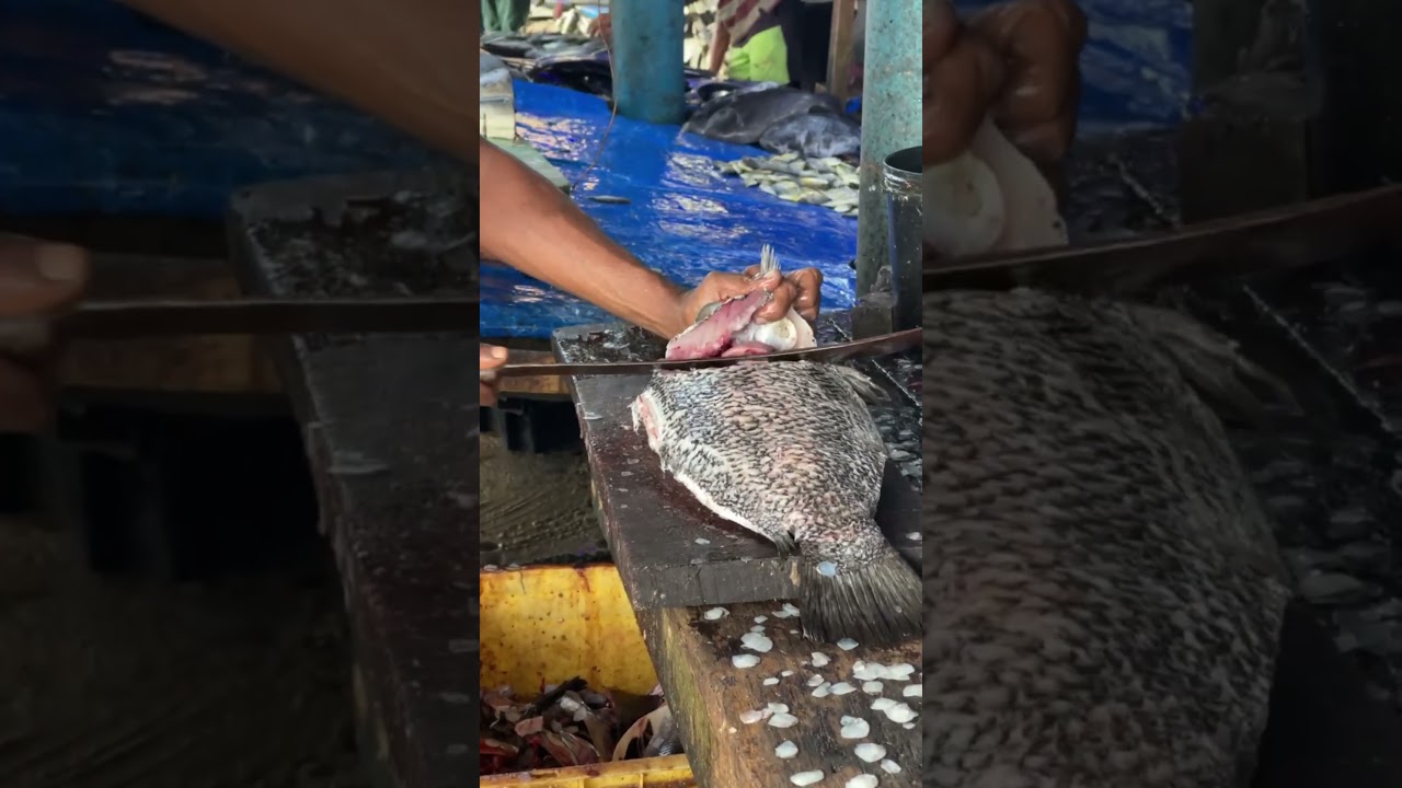 From Sea to Table 🌊🎣 - Fish cutting video