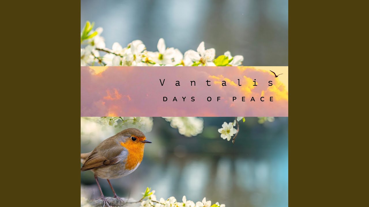 Watch Landscape for Early Risers (Solo Version) on YouTube Watch Landscape for Early Risers (Solo Version) on YouTube