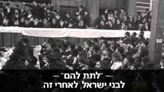 הרבי מליובאויטש על ההחלטה 242 של מועצת הביטחון של האו"ם