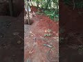 Metal Solutions 