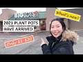 Big Lots: All Pots Under $20! 2021 Plant Pots and Gardening Supplies Have Finally Arrived!
