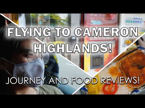 Cameron Highlands Day 1 Malaysia Airlines Economy and Affordable but Amazing Unitity bus