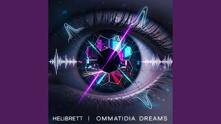 Ommatidia Dreams