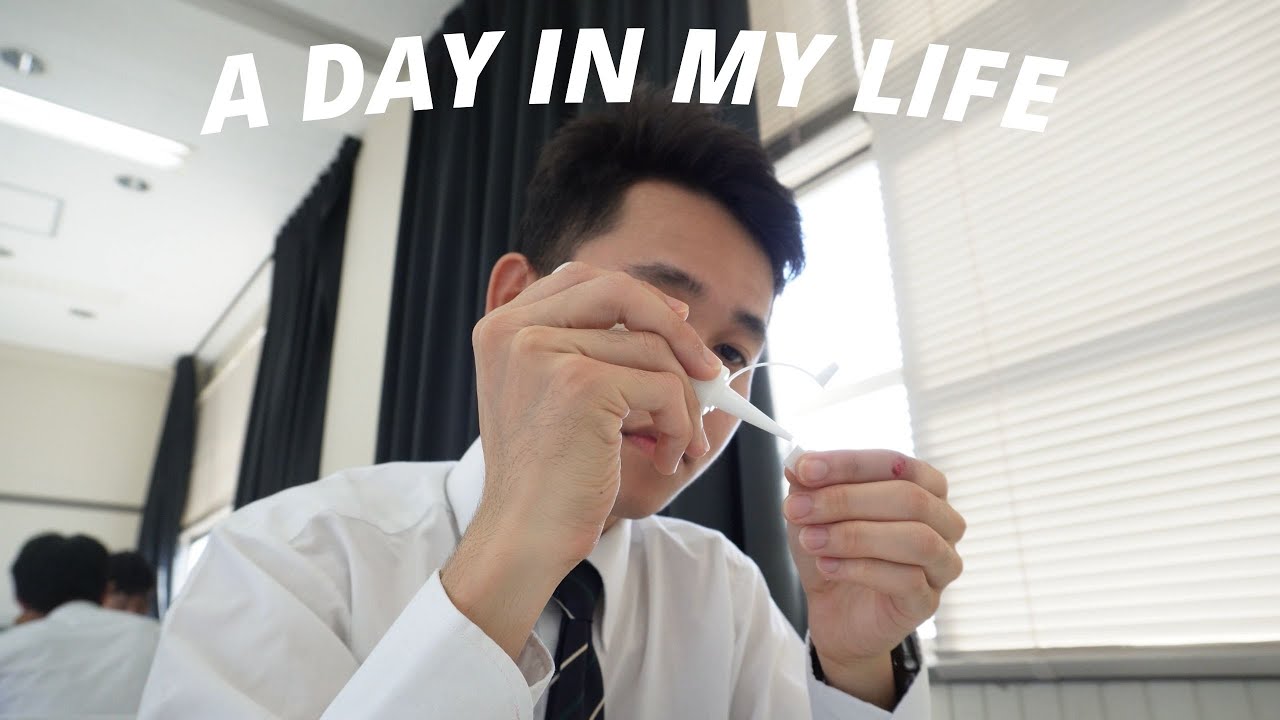 Life as an architecture student in Japan ￼- 建築学生の生活