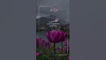 #أقوال_وحكم #حكم_عن_الحياة #اقتباسات #اذكار_الصباح #أقوال_العظماء #الصلاة_والسلام_على_رسول_الله