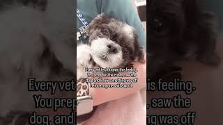 Vet techs carry so much clinical intuition that does not always get the spotlight it deserves