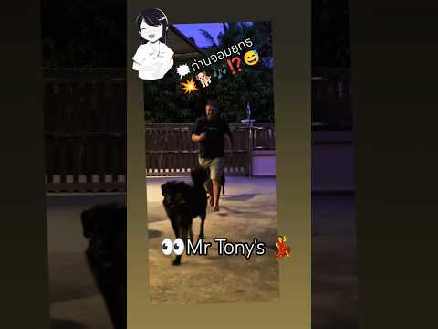 8 มีนาคม ค.ศ. 2026