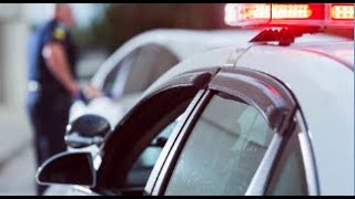 Memphis seeing between 700 and 800 traffic stops per day since task force began
