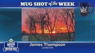BOTB: Mugshot of the Week